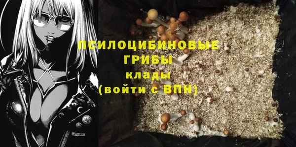 дмт Алзамай
