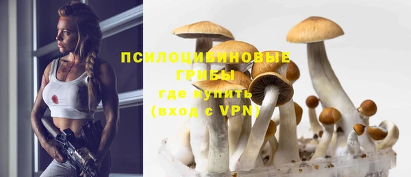 спайс Алексеевка