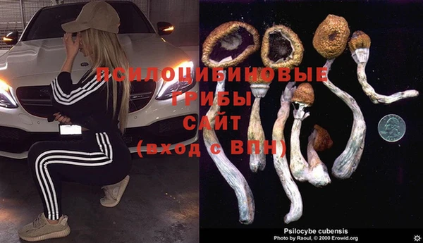 спайс Алексеевка
