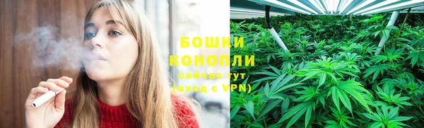 ГАЛЛЮЦИНОГЕННЫЕ ГРИБЫ Алексин